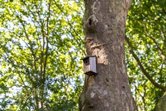 Fotoreportage - 48.jpg